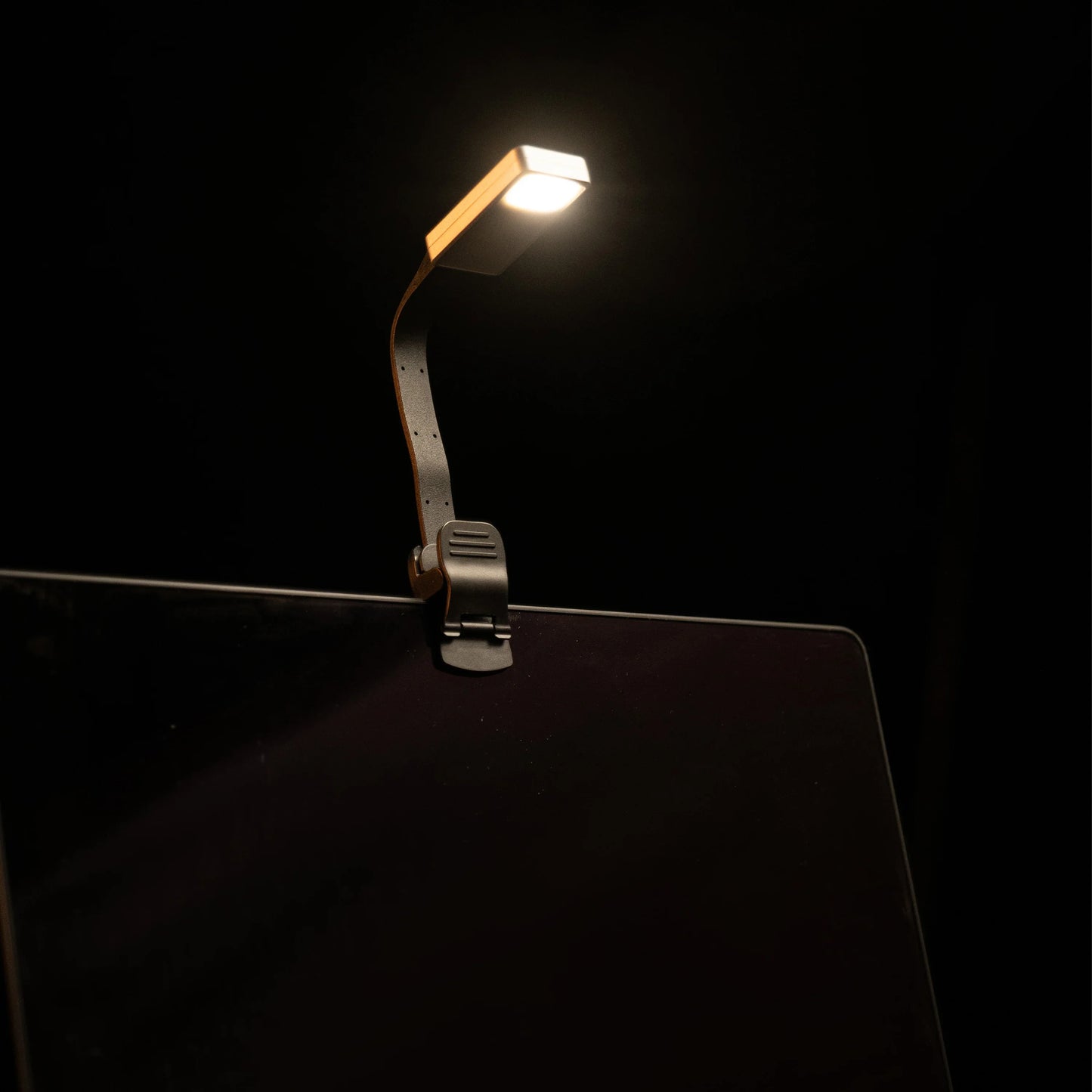 Slim clip-on LED reading light for eReader, perfect for night reading with adjustable neck and warm glow