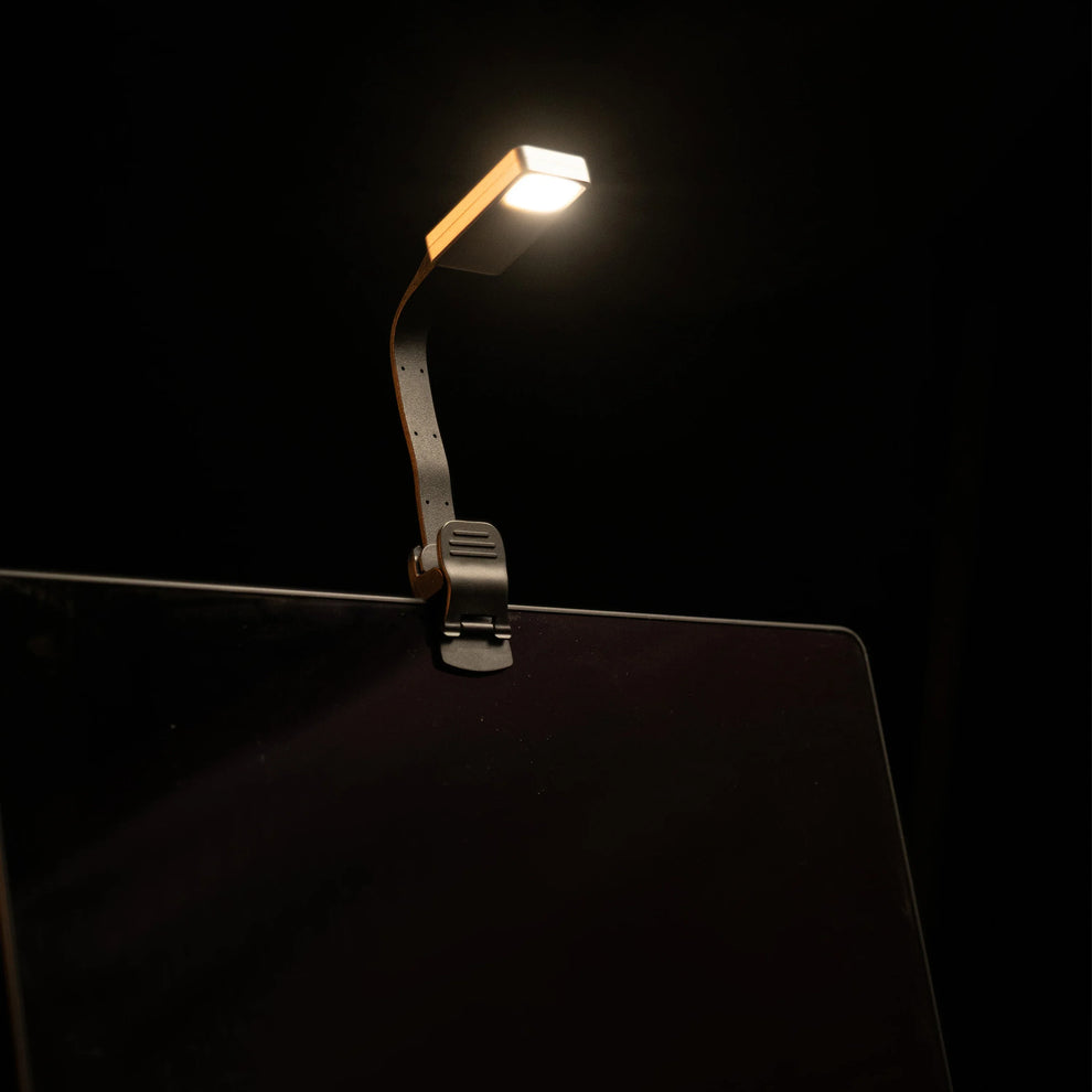 eReader Magnetic Reading Light – Xteink